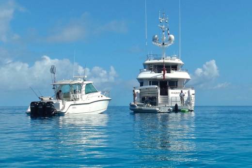 Masteka 2 Through the Lens