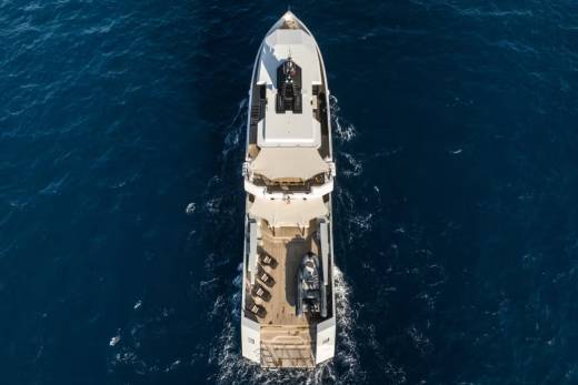 Fox Through the Lens