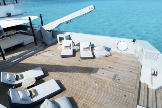 Fox Through the Lens