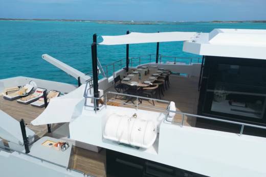 Fox Through the Lens