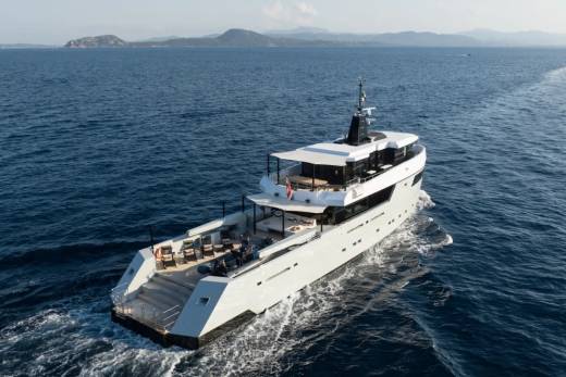 Fox Through the Lens