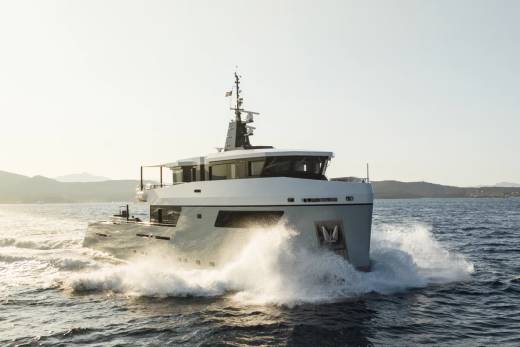 Fox Through the Lens