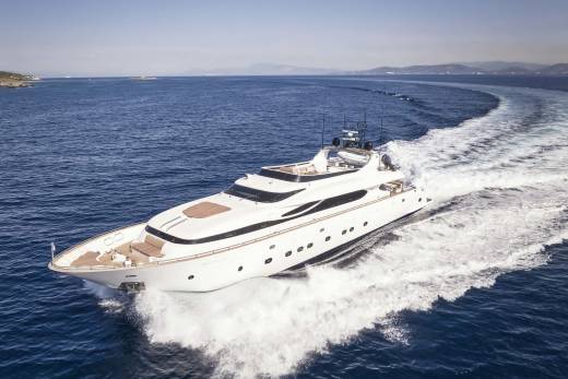 Anasa Through the Lens