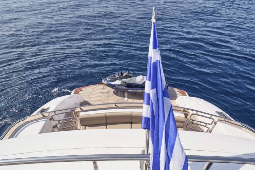 Anasa Through the Lens