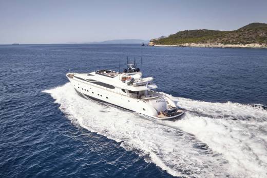 Anasa Through the Lens