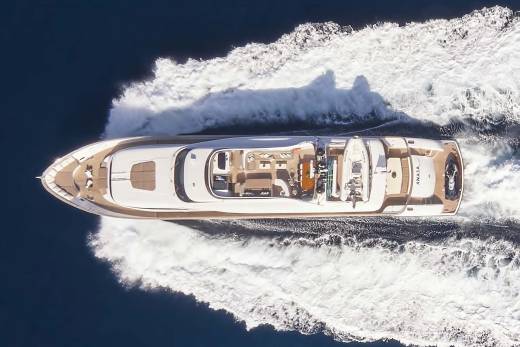 Anasa Through the Lens