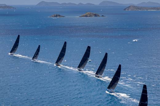 A fleet of sleek sailboats races across the sparkling blue ocean under a bright sky.