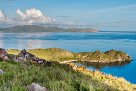 Lamima Through The Lens