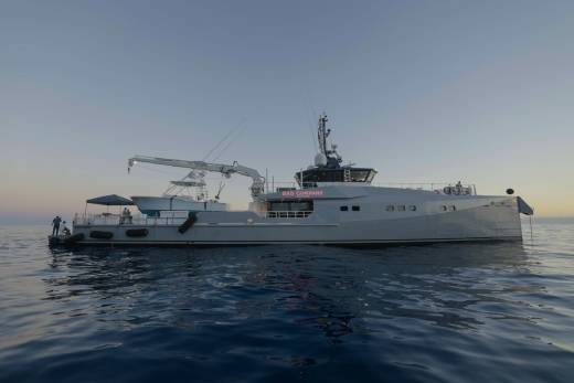 Bad Company Support Through the Lens