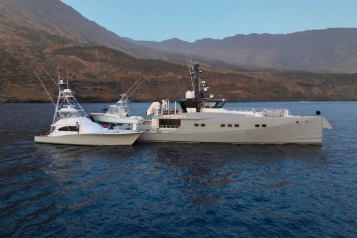 Bad Company Support Through the Lens