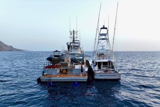 Bad Company Support Through the Lens