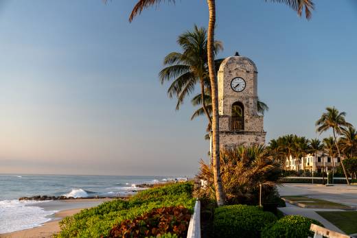 Highlights from This Year's Show