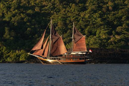 A wooden schooner with dark sails floats on calm blue water in the foreground, with a lush green, tree-covered hillside rising behind it in the background.