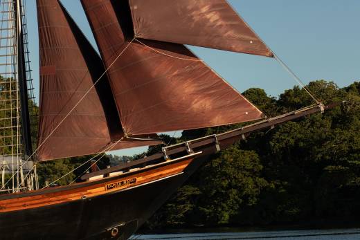 A dark-sailed schooner cuts through calm water with a lush green forest in the background.