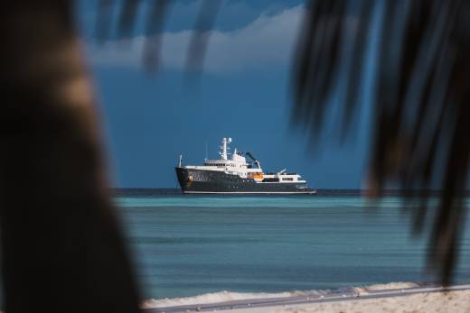 A dark yacht floats on turquoise water under a deep blue sky, framed by the blurred fronds of palm trees in the foreground.