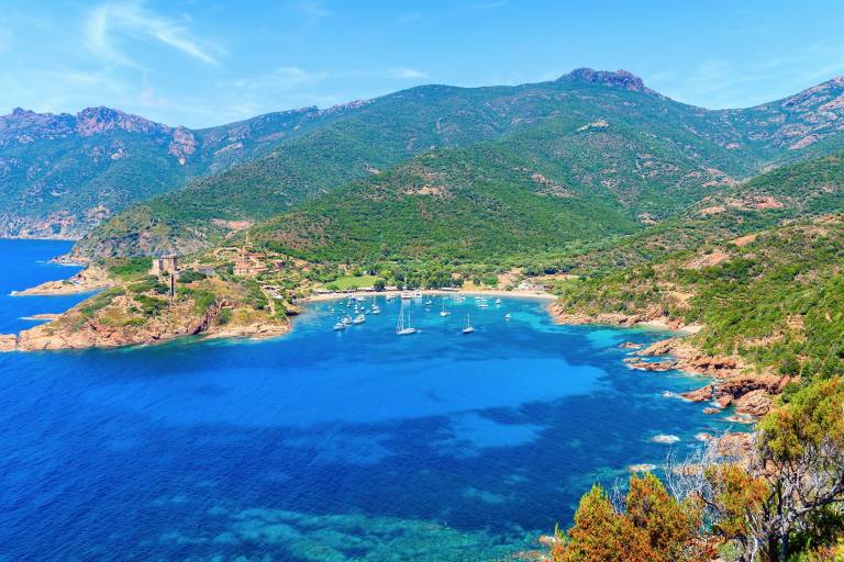Where Mountains Meet the Sea