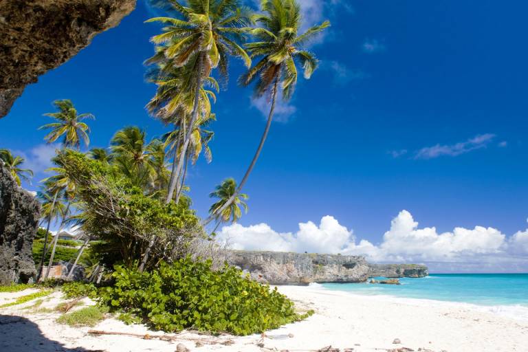 Castaway in St Kitts