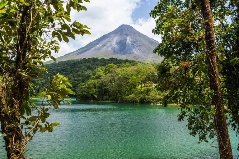 Live the Pura Vida