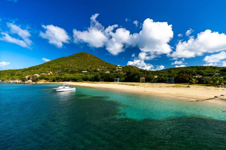 The Tropical Temptress