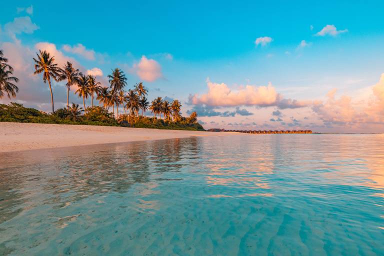 The Ultimate Retreat