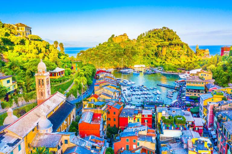 No Translation Needed 