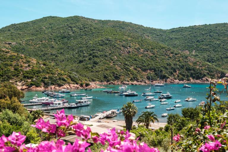Quintessentially Corsican