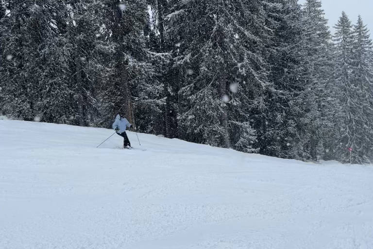 'A passion for art, flowers and interior design'