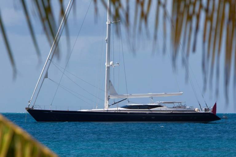 Bringing the Outdoors In