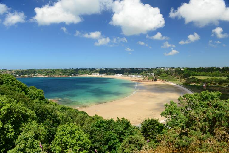 Lush green trees frame a sandy beach and calm turquoise water, with a distant coastline dotted with buildings under a bright blue sky with fluffy clouds.