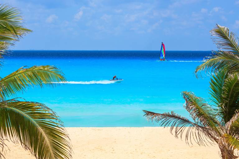 Palm fronds frame a vibrant turquoise ocean where a jet ski speeds across the water, with a sailboat visible in the distance against a deep blue horizon.