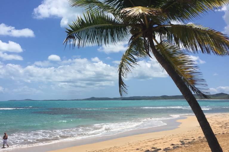 A lone palm tree casts a shadow on a sandy beach with gentle waves lapping the shore, while a person walks in the distance under a bright blue sky dotted with white clouds.