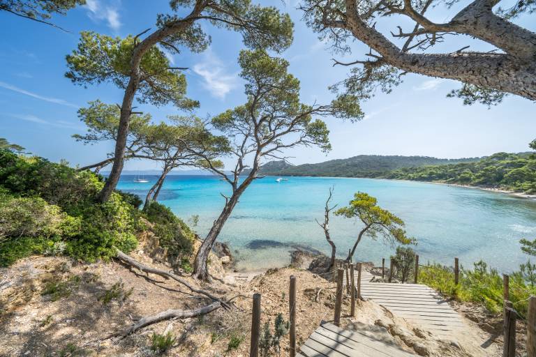 A wooden walkway leads down to a clear turquoise bay with sailboats, framed by windswept pine trees and lush green hills.
