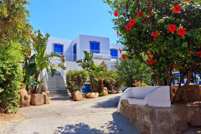 A paved path leads to a white building with blue shutters, surrounded by lush greenery and vibrant red hibiscus flowers.
