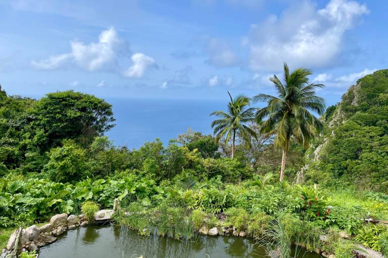 A tranquil pond with lush greenery in the foreground gives way to a stunning ocean view framed by palm trees and a verdant hillside under a bright blue sky.