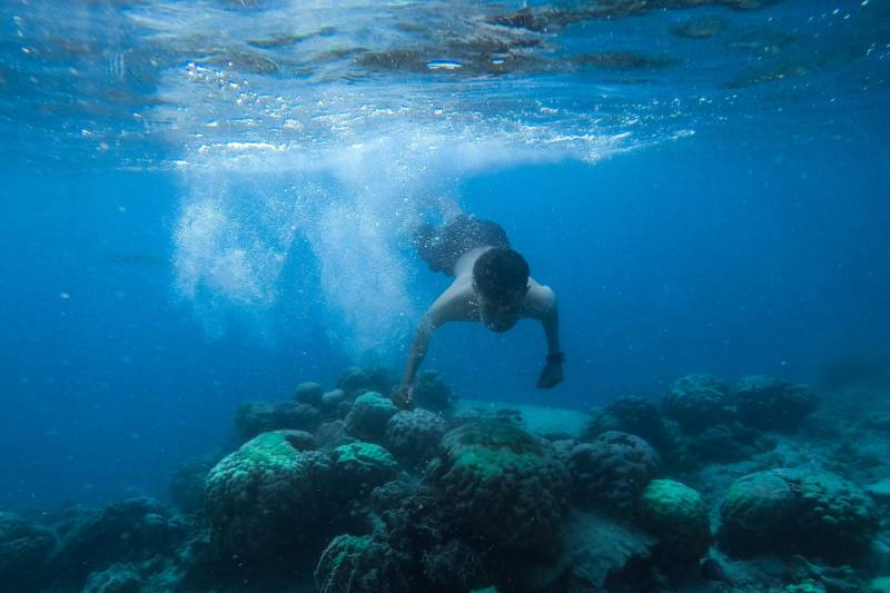 A person dives into the clear blue ocean, surrounded by vibrant coral reefs.