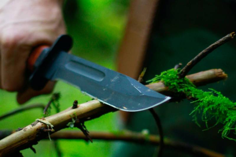 A sharp knife cuts through a moss-covered branch in a lush, green forest.