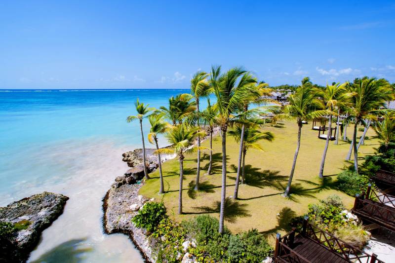 Lush palm trees cast dancing shadows on a vibrant green lawn beside the stunning turquoise waters of a tropical paradise.
