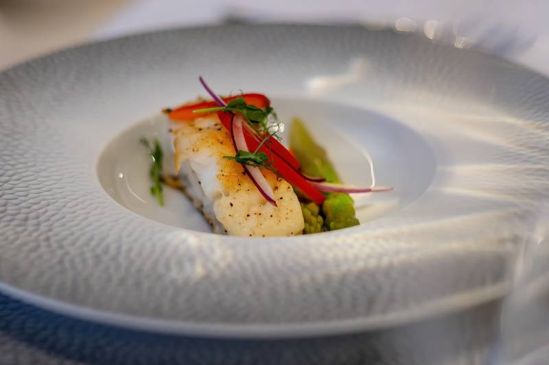 A delicate piece of white fish is artfully presented with vibrant red pepper, purple onion, and green sprouts on a textured white plate.