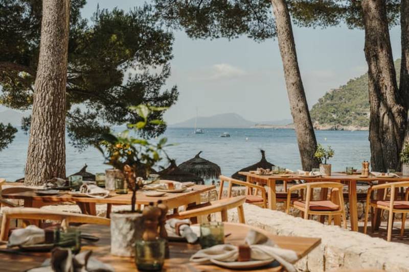 A scenic outdoor dining area with wooden tables and chairs set up under the shade of tall pine trees, overlooking a tranquil body of water in the distance.