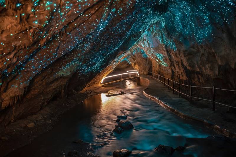 A dimly lit underground cave with a wooden walkway leading through the water, surrounded by glowing bioluminescent organisms on the cave walls.