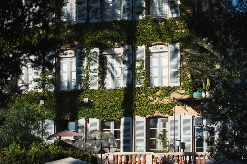 Lush green ivy covers the facade of a building with light blue shutters and windows, while a blurred foreground reveals foliage and a decorative railing.