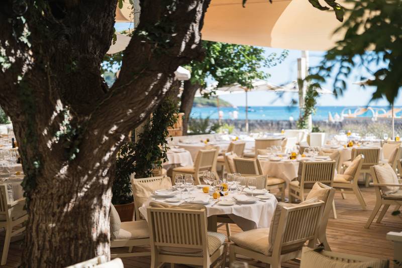 A large tree trunk shades a beautifully set outdoor dining table in the foreground, while the background reveals more tables and a sparkling blue ocean under a bright sky.