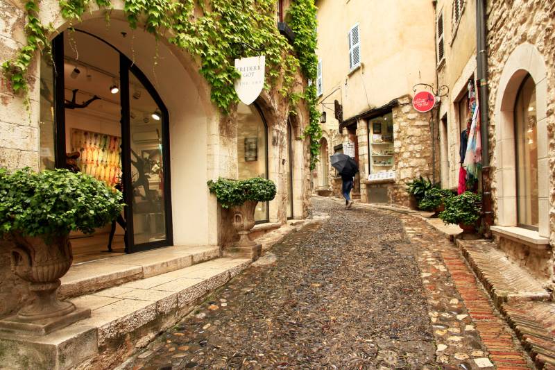 Lush green plants in urns flank a shop entrance on the left, while a lone figure with an umbrella walks down a cobblestone street lined with stone buildings in the background.