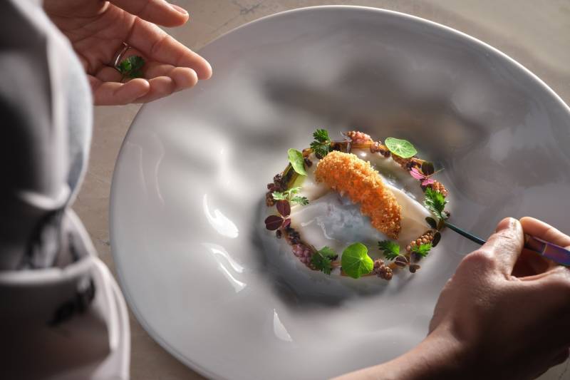 A chef's hands meticulously plate a gourmet dish with a crispy element and garnishes on a white plate, with a blurred kitchen counter in the background.