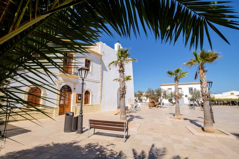 Palm fronds frame a sunlit white building with a bench and lamppost in the foreground, while a clear blue sky stretches over a plaza with more palm trees and distant structures in the background.