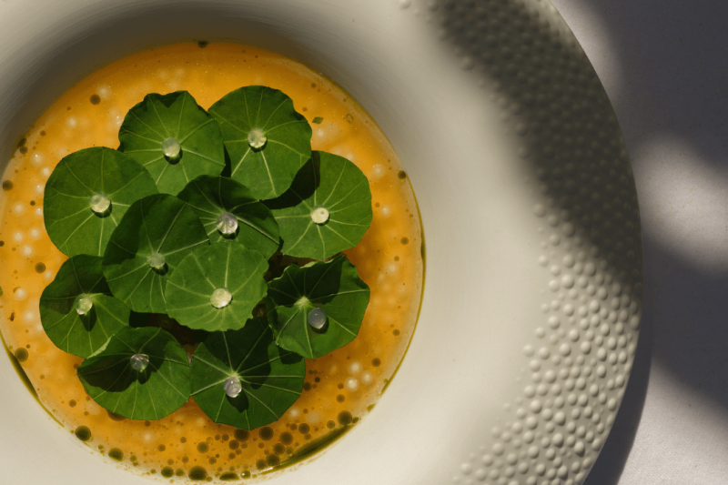 A vibrant orange soup is garnished with a circular arrangement of fresh green nasturtium leaves, set against a textured white plate and a softly lit background.