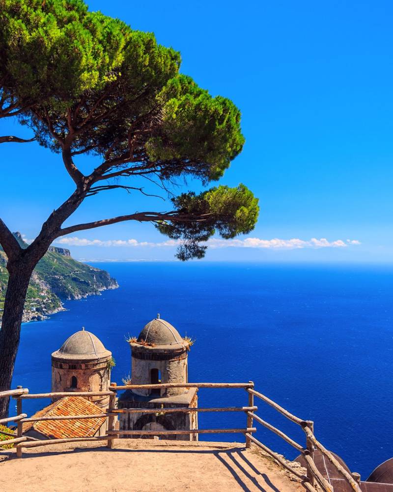 A lone pine tree frames a breathtaking view of the Amalfi Coast's dramatic cliffs and azure waters.