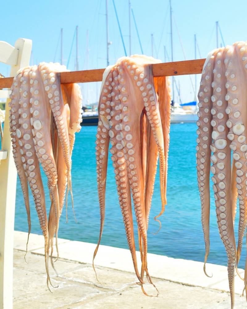 Fresh octopuses hang to dry in the sun, ready for a delicious meal by the sparkling blue sea.