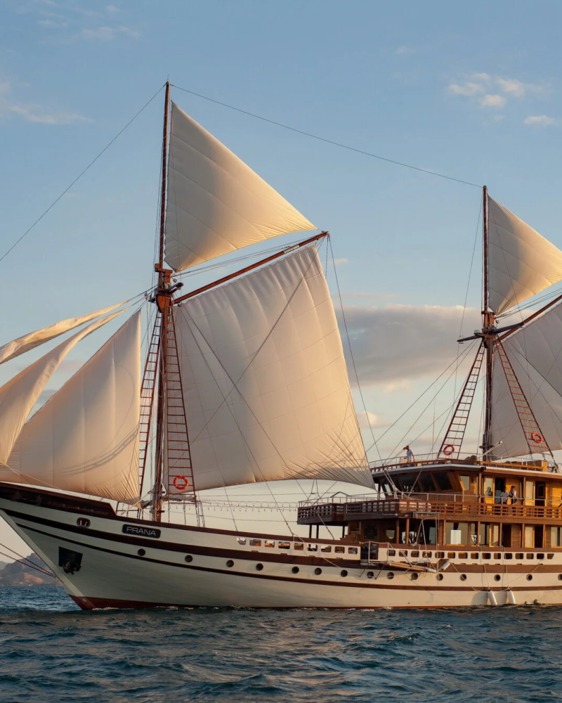 A majestic schooner glides across the shimmering sea under a vast, cloud-dappled sky.