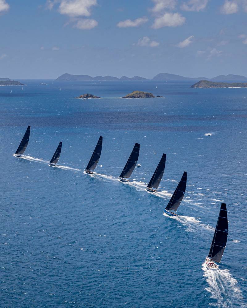 A fleet of sleek sailboats races across the sparkling blue ocean under a bright sky.